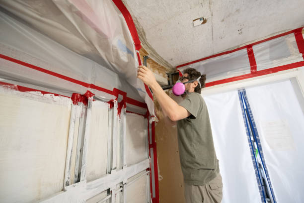 Best Mold Removal for HVAC Installations  in Laurel, MS